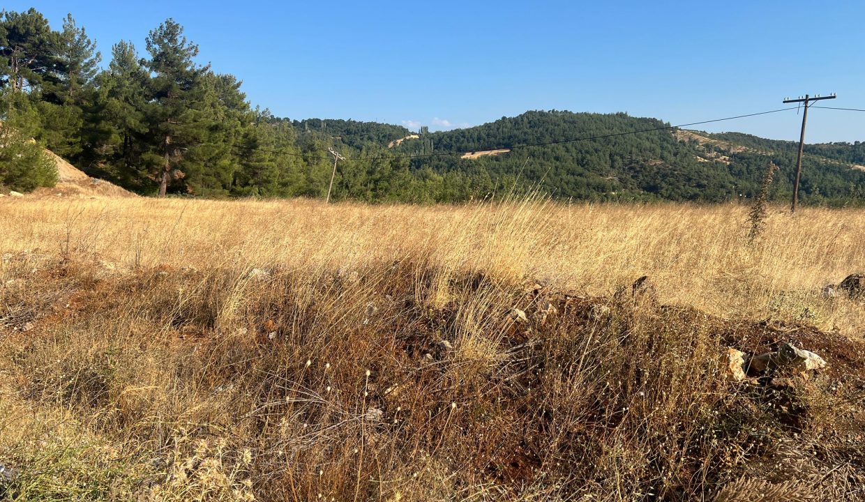 WhatsApp Görsel 2025-09-14 saat 17.24.12_74365f8c