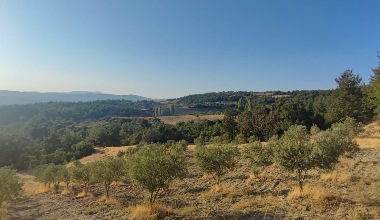 WhatsApp Görsel 2025-09-14 saat 18.05.28_06bc4341