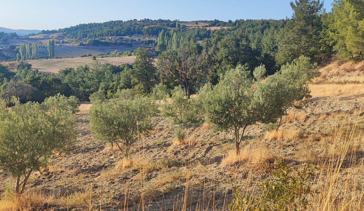 WhatsApp Görsel 2025-09-14 saat 18.05.29_11e2b36a