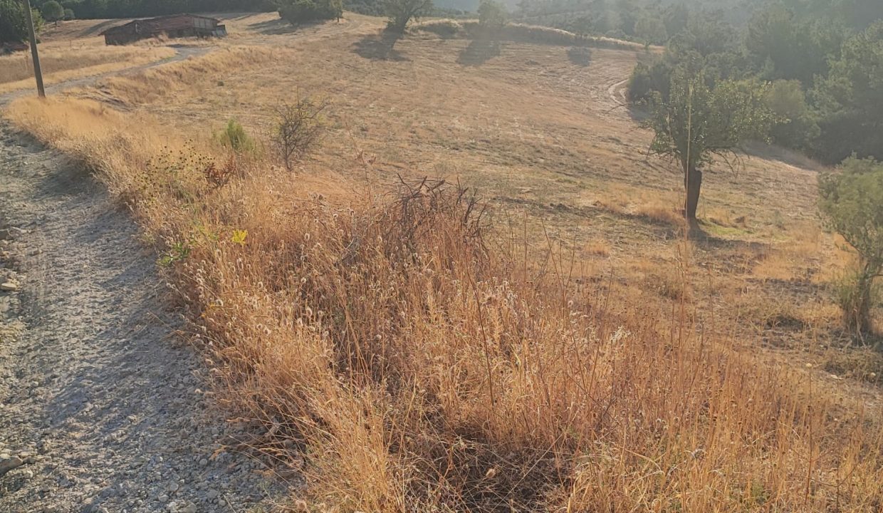 WhatsApp Görsel 2025-09-14 saat 18.05.29_3712328e