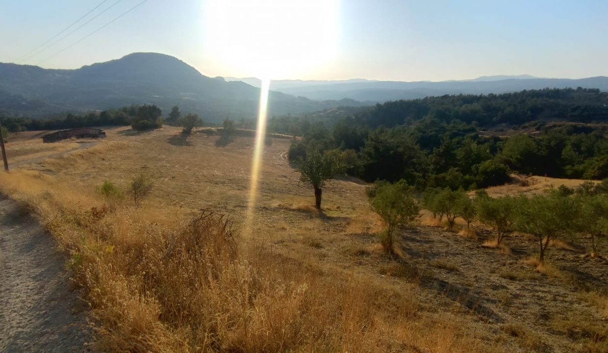 WhatsApp Görsel 2025-09-14 saat 18.05.29_b7c1a279