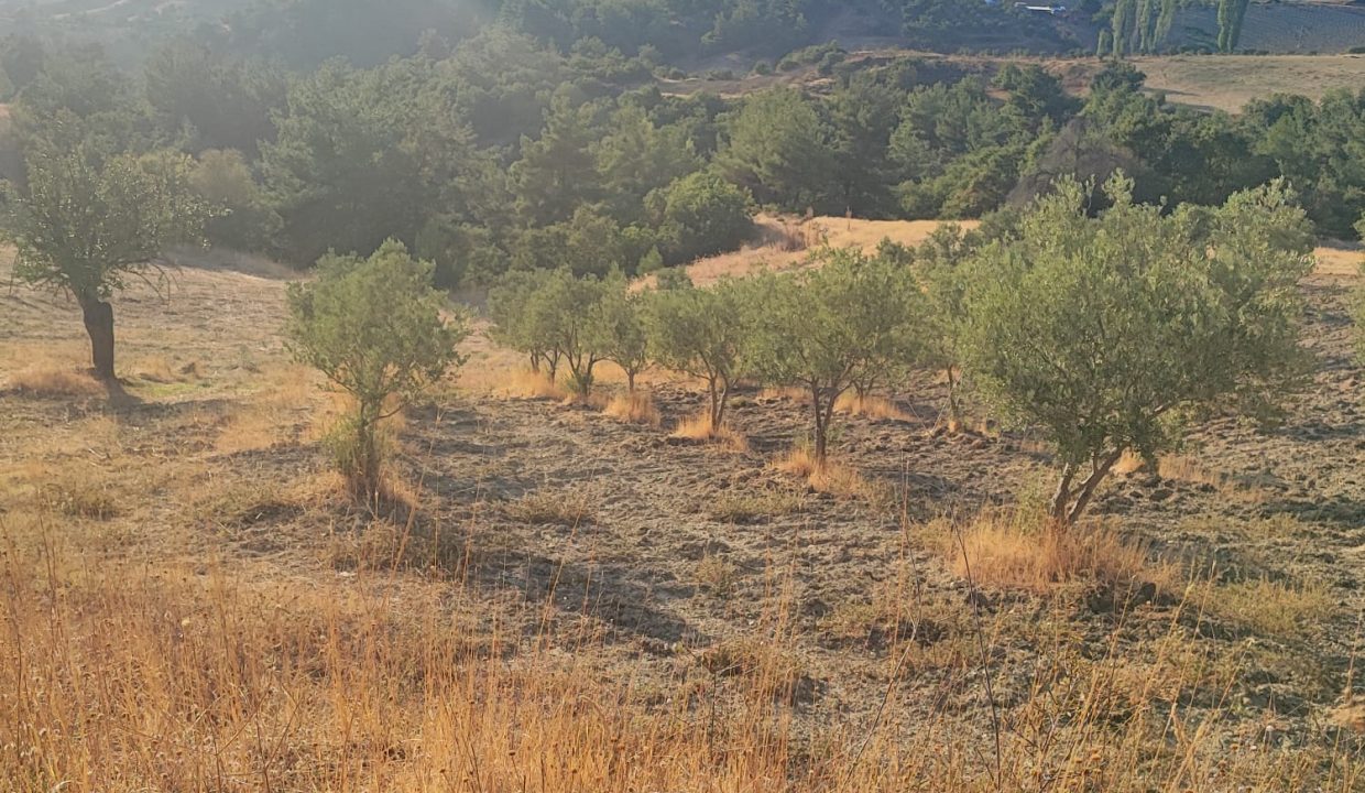 WhatsApp Görsel 2025-09-14 saat 18.05.29_dde0e737