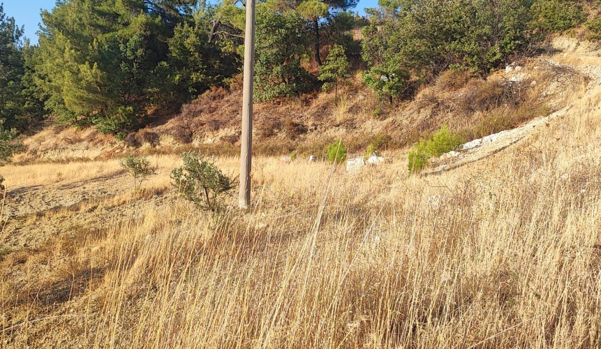 WhatsApp Görsel 2025-09-14 saat 18.05.29_fdef18d0