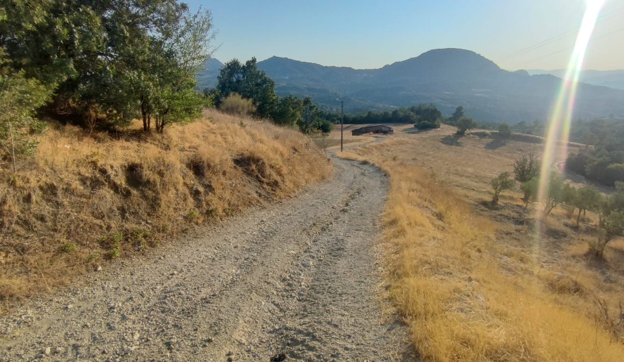 WhatsApp Görsel 2025-09-14 saat 18.05.30_13f2222f