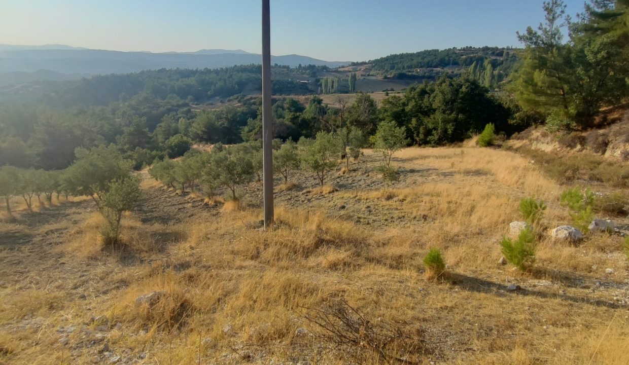 WhatsApp Görsel 2025-09-14 saat 18.05.30_a75cdbdb