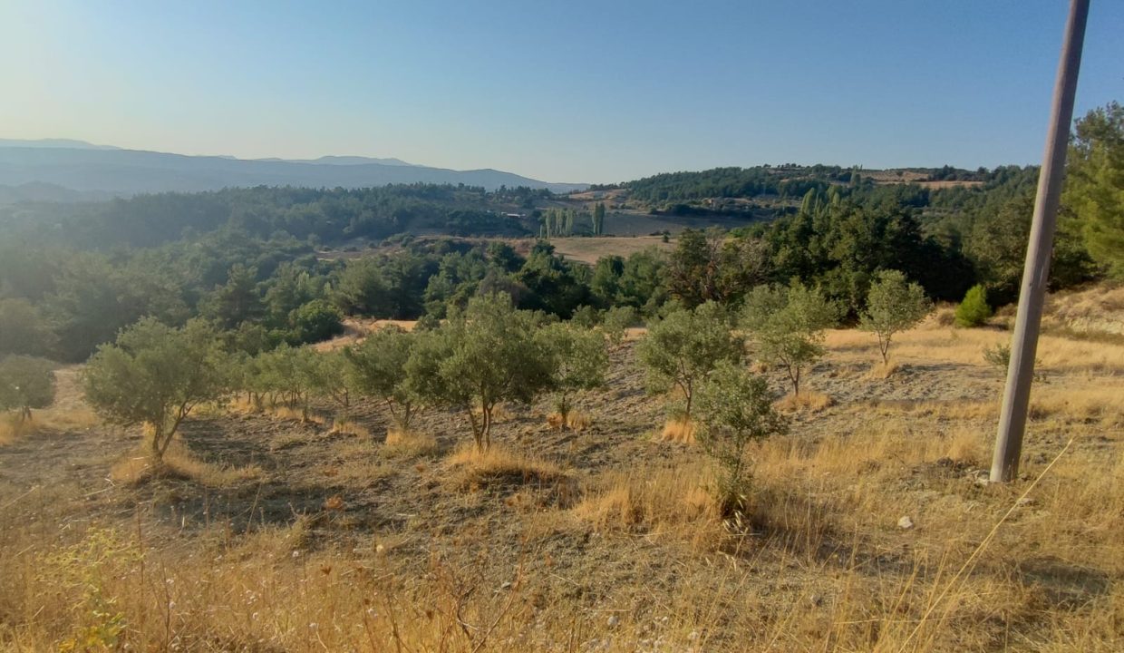 WhatsApp Görsel 2025-09-14 saat 18.05.30_e68729e7