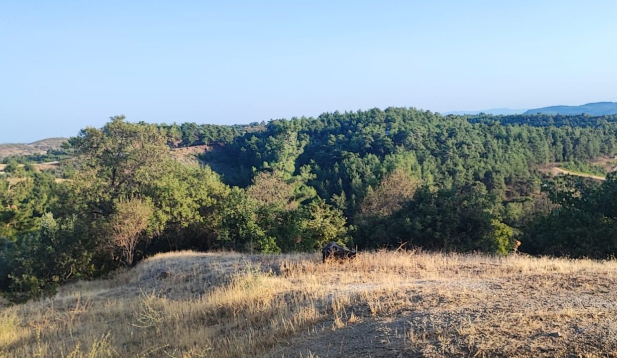 WhatsApp Görsel 2025-09-14 saat 18.13.50_58f6d027