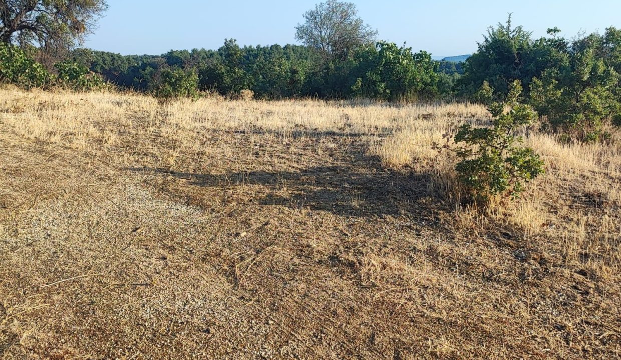 WhatsApp Görsel 2025-09-14 saat 18.14.43_bf3a8f56