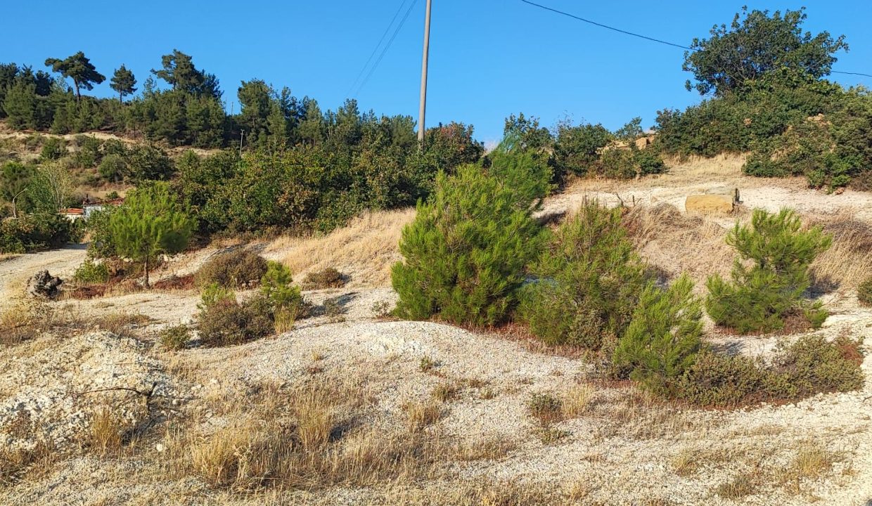 WhatsApp Görsel 2025-09-14 saat 18.18.51_32f35965