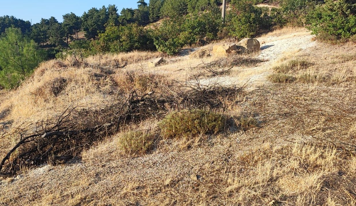 WhatsApp Görsel 2025-09-14 saat 18.18.51_8273c405