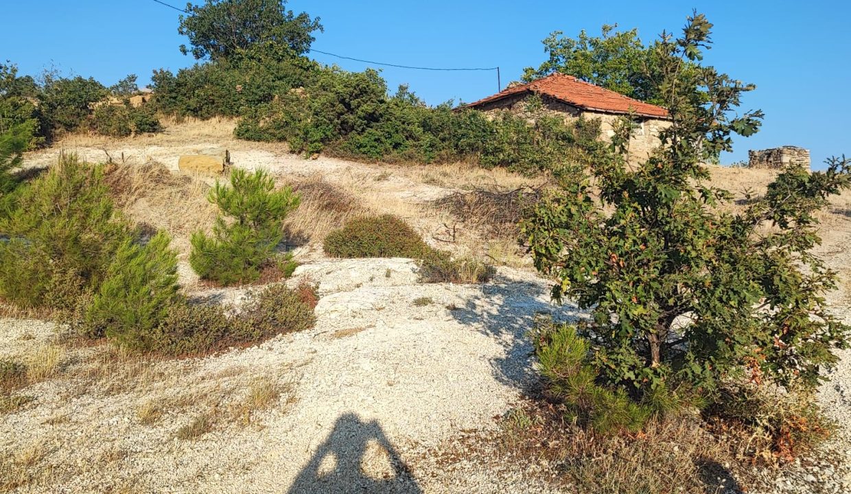 WhatsApp Görsel 2025-09-14 saat 18.18.56_8af45c4c