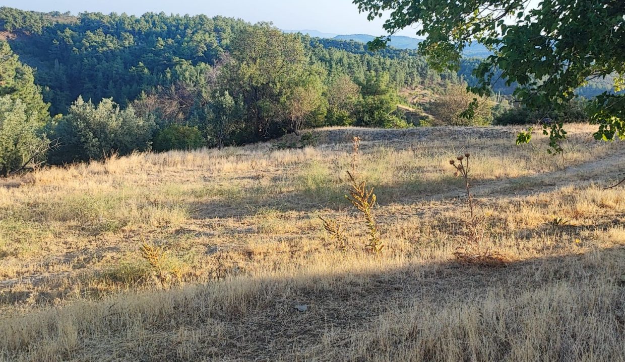 WhatsApp Görsel 2025-09-14 saat 18.19.01_a1ab9fdc