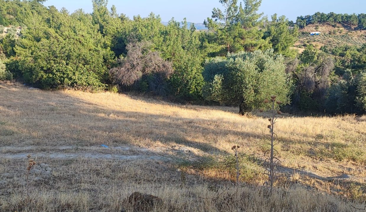 WhatsApp Görsel 2025-09-14 saat 18.19.02_18ac2e41