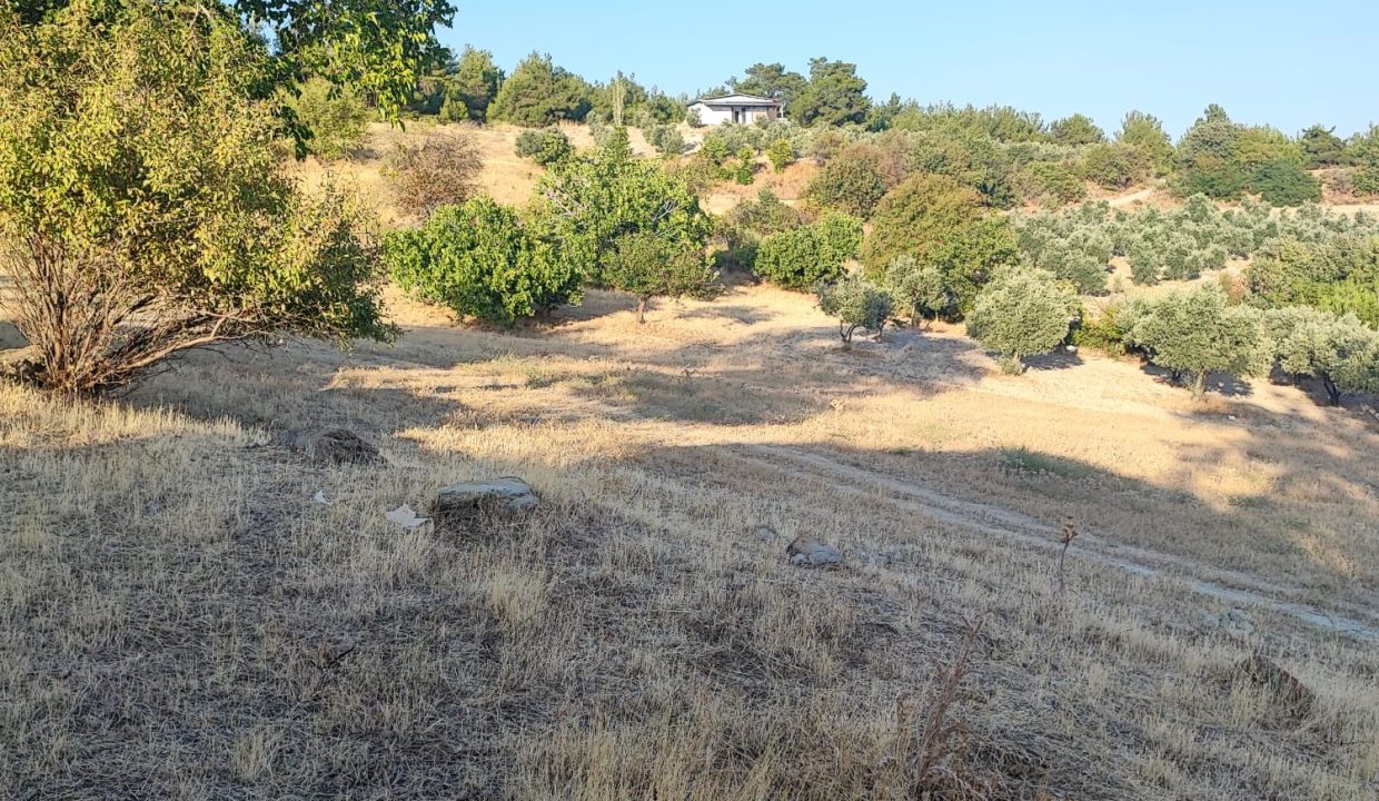 WhatsApp Görsel 2025-09-14 saat 18.19.02_cd50fe84