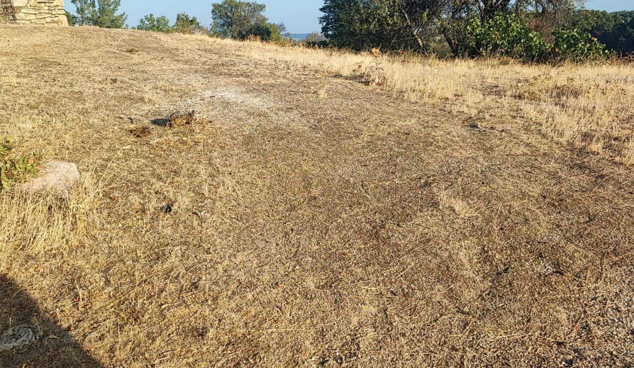 WhatsApp Görsel 2025-09-14 saat 18.19.03_282a392d