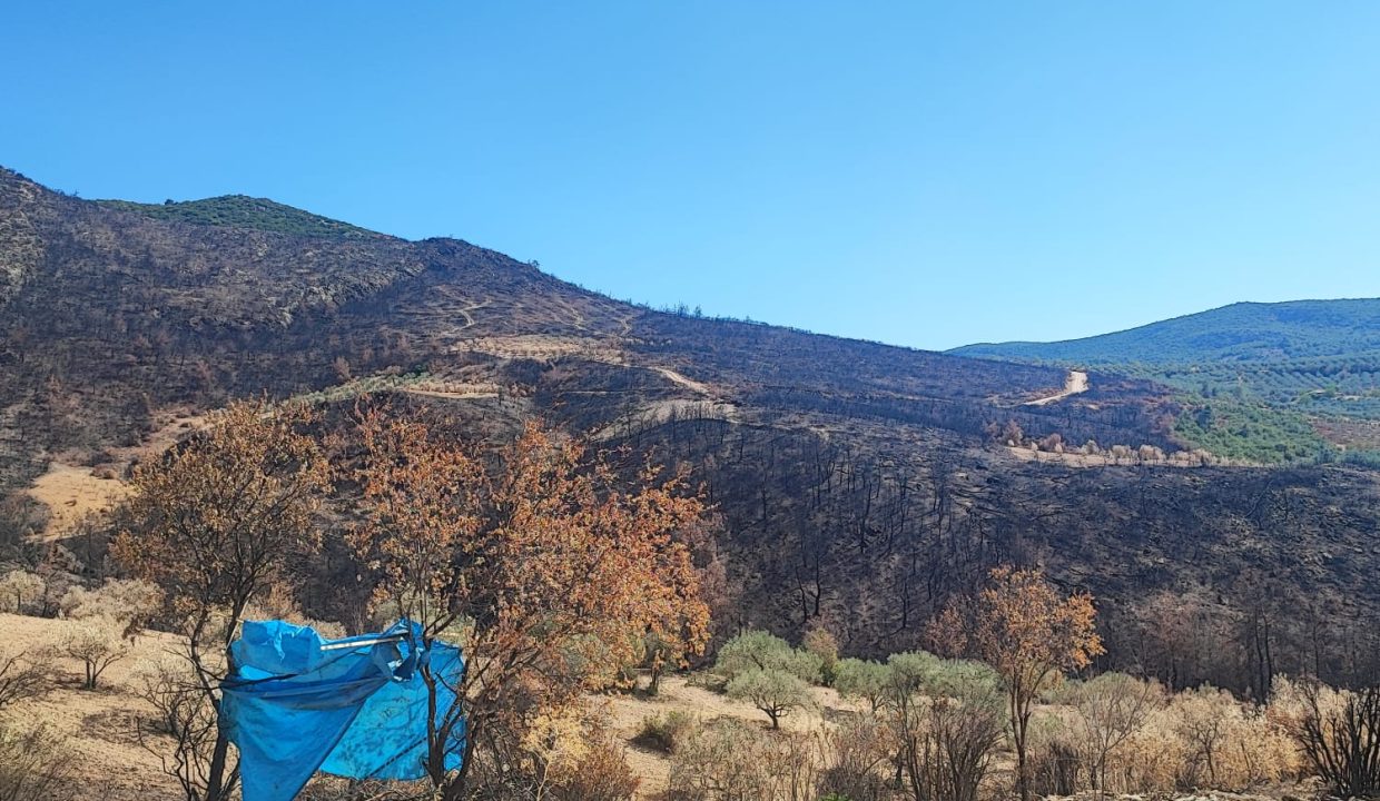 WhatsApp Görsel 2025-09-17 saat 15.45.30_66de1845