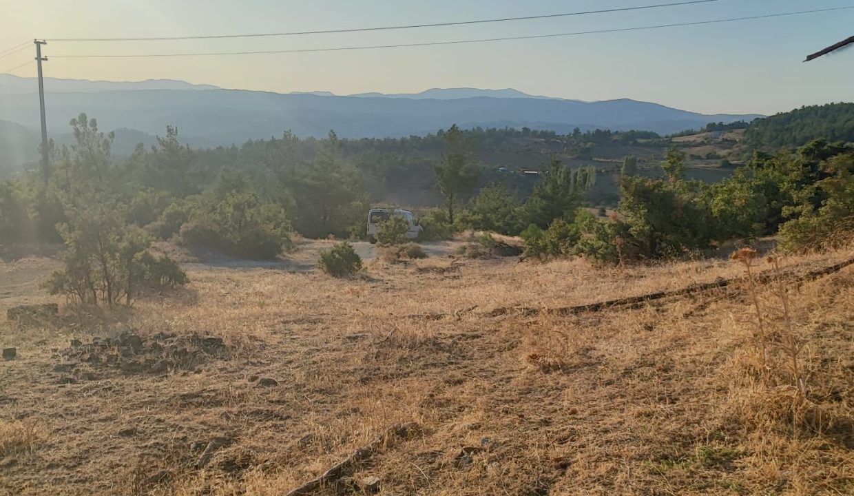 WhatsApp Görsel 2025-09-17 saat 15.45.30_8e6a2c6a