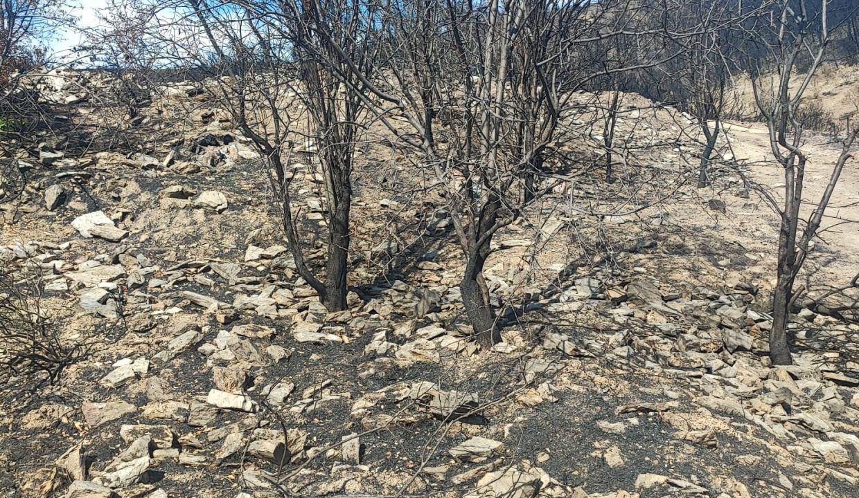 WhatsApp Görsel 2025-09-17 saat 15.45.31_0424aaaf