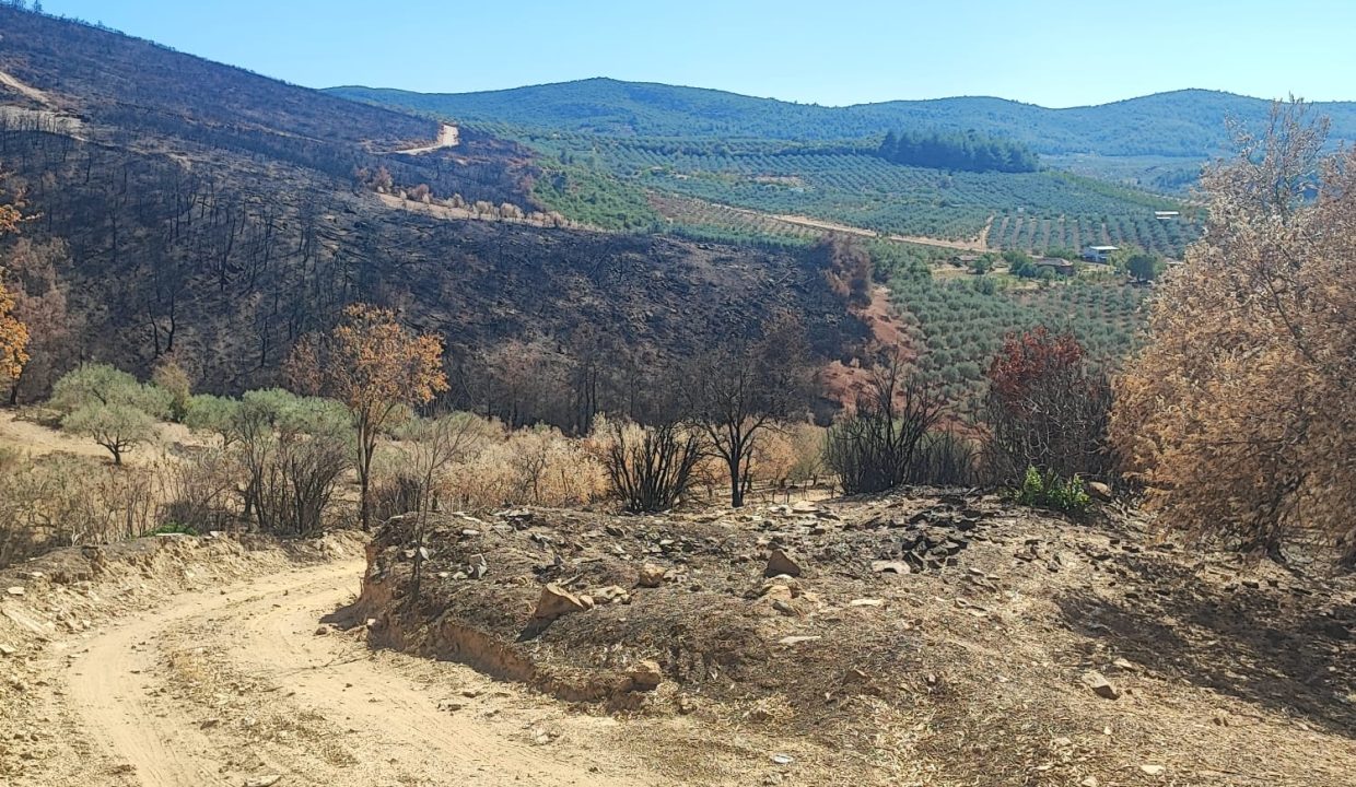 WhatsApp Görsel 2025-09-17 saat 15.45.31_1c809e7f