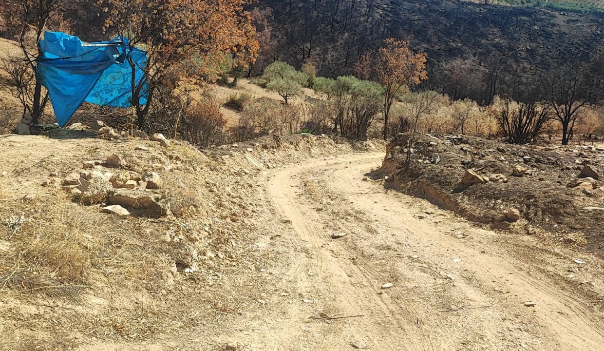 WhatsApp Görsel 2025-09-17 saat 15.45.31_7b014fc1