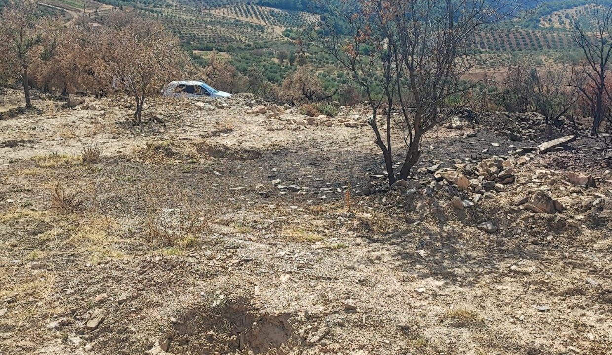 WhatsApp Görsel 2025-09-17 saat 15.45.31_b7ab794b