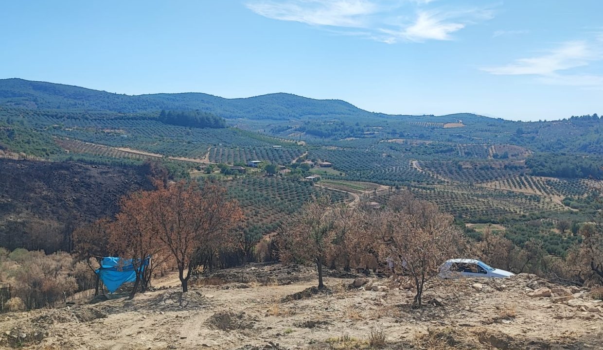 WhatsApp Görsel 2025-09-17 saat 15.45.32_8253a581