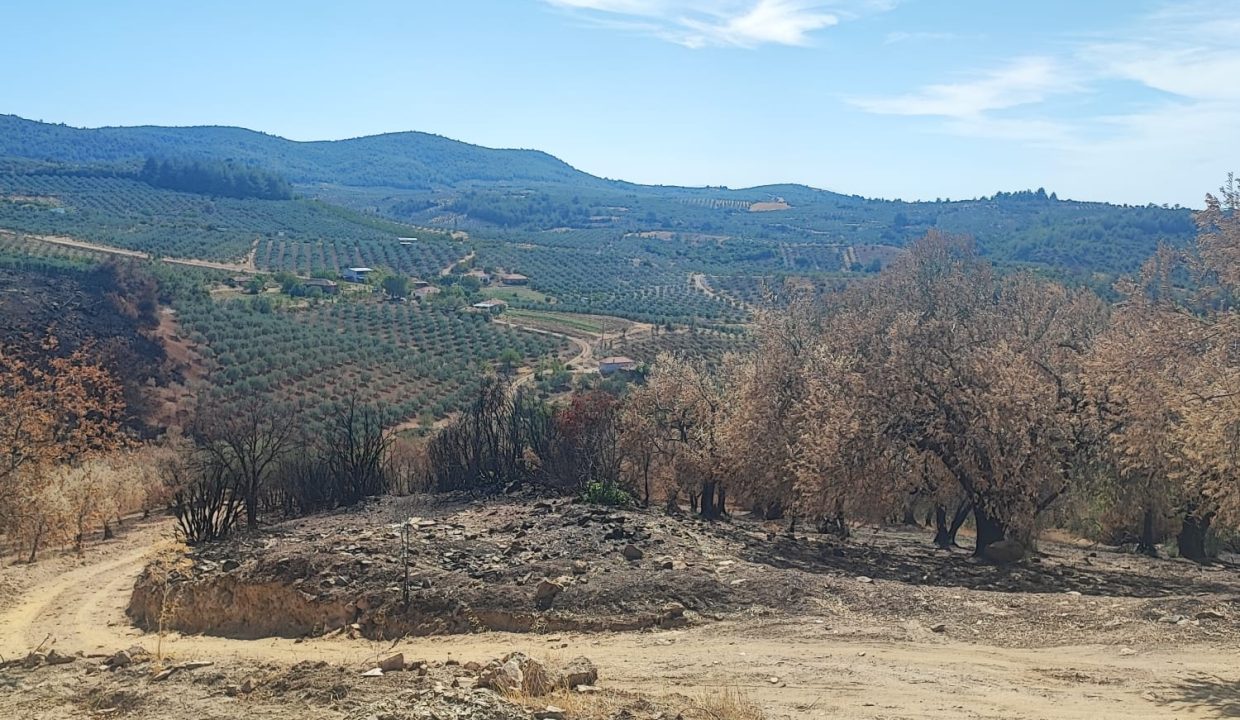 WhatsApp Görsel 2025-09-17 saat 15.45.32_b3d2eefa