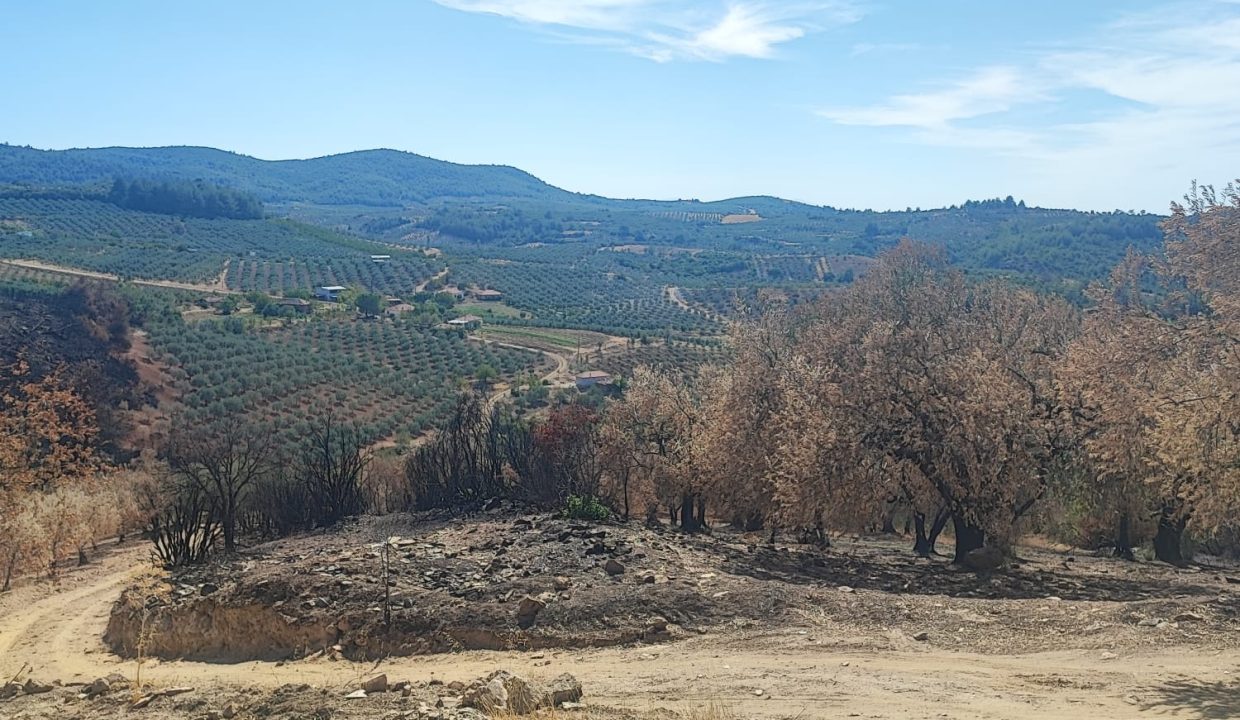 WhatsApp Görsel 2025-09-17 saat 15.45.32_dd983b1e