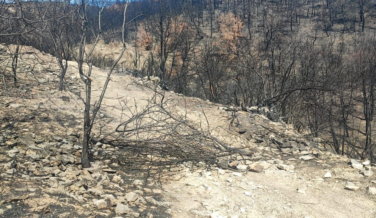 WhatsApp Görsel 2025-09-17 saat 15.45.32_f0c8a6aa