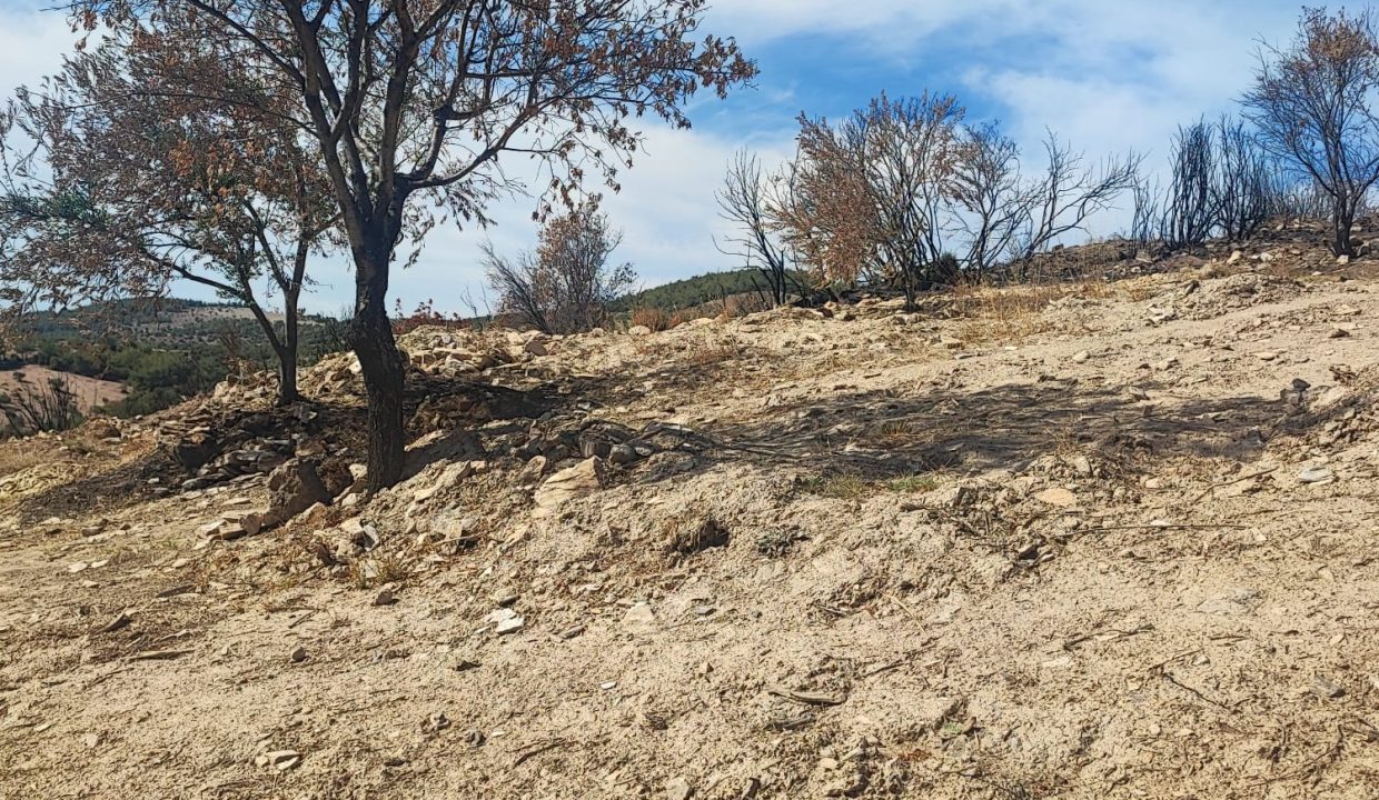 WhatsApp Görsel 2025-09-17 saat 15.45.33_362005de