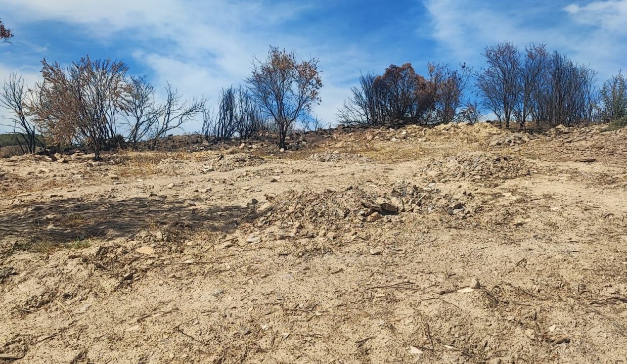 WhatsApp Görsel 2025-09-17 saat 15.45.33_4bcce9e4