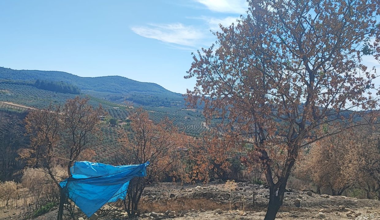 WhatsApp Görsel 2025-09-17 saat 15.45.33_aa945e60