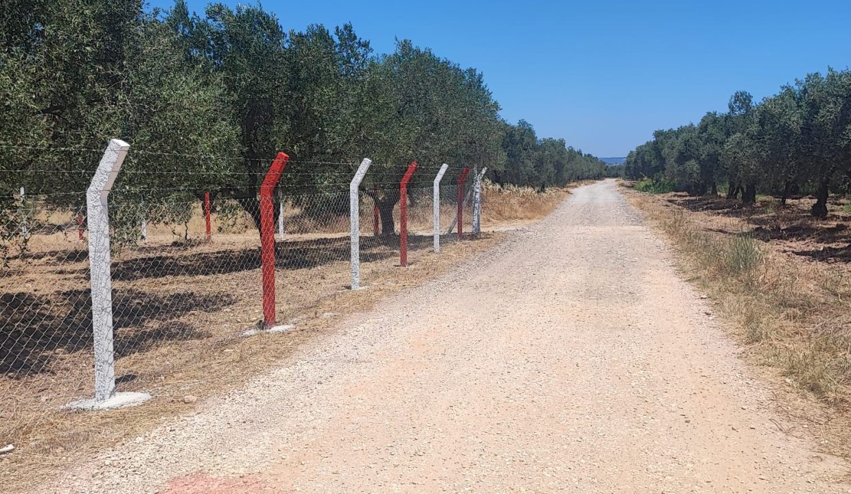 WhatsApp Görsel 2025-11-12 saat 18.35.03_14094058