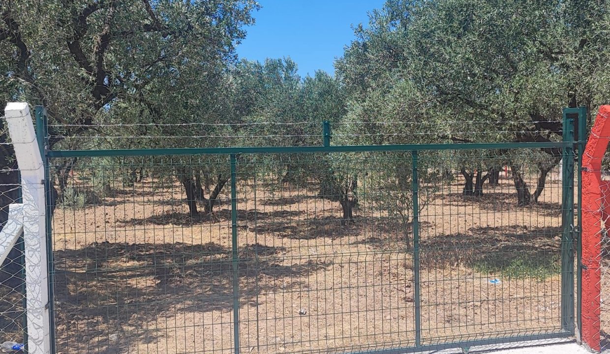 WhatsApp Görsel 2025-11-12 saat 18.35.03_3154ee83