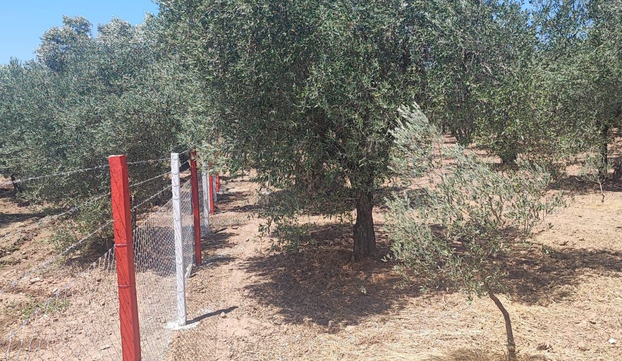 WhatsApp Görsel 2025-11-12 saat 18.35.03_3a8880ac