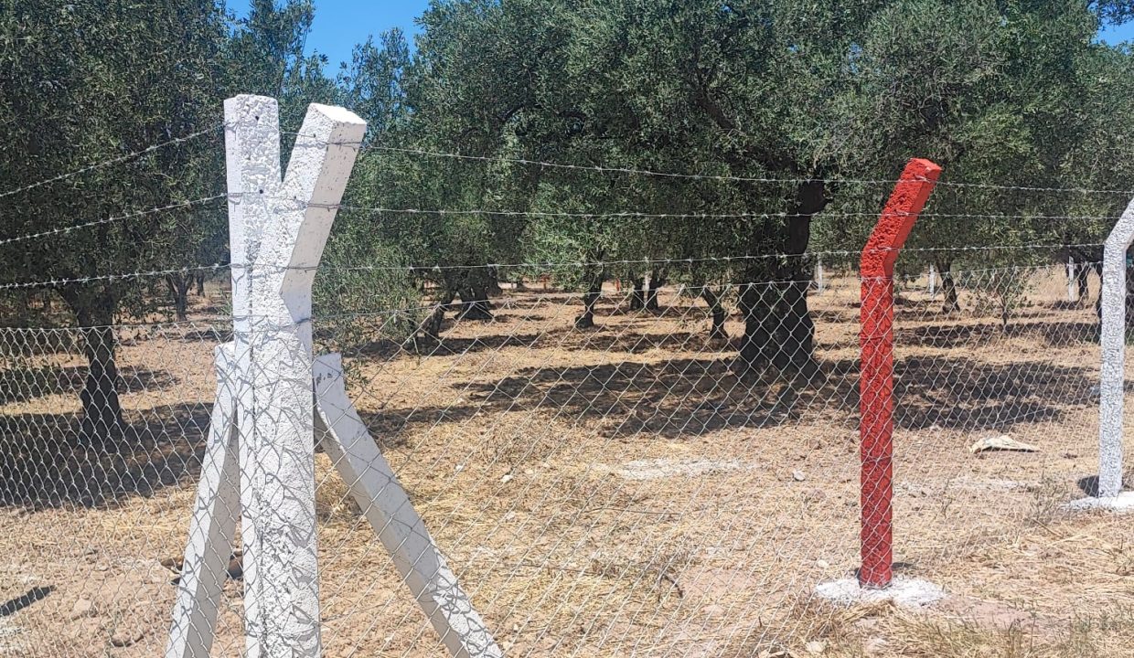 WhatsApp Görsel 2025-11-12 saat 18.35.03_96b44ad6