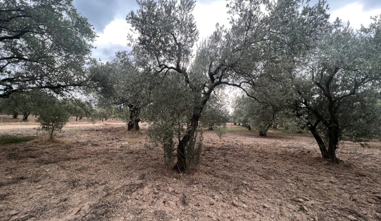 WhatsApp Görsel 2025-11-12 saat 18.35.04_19c3f1c1