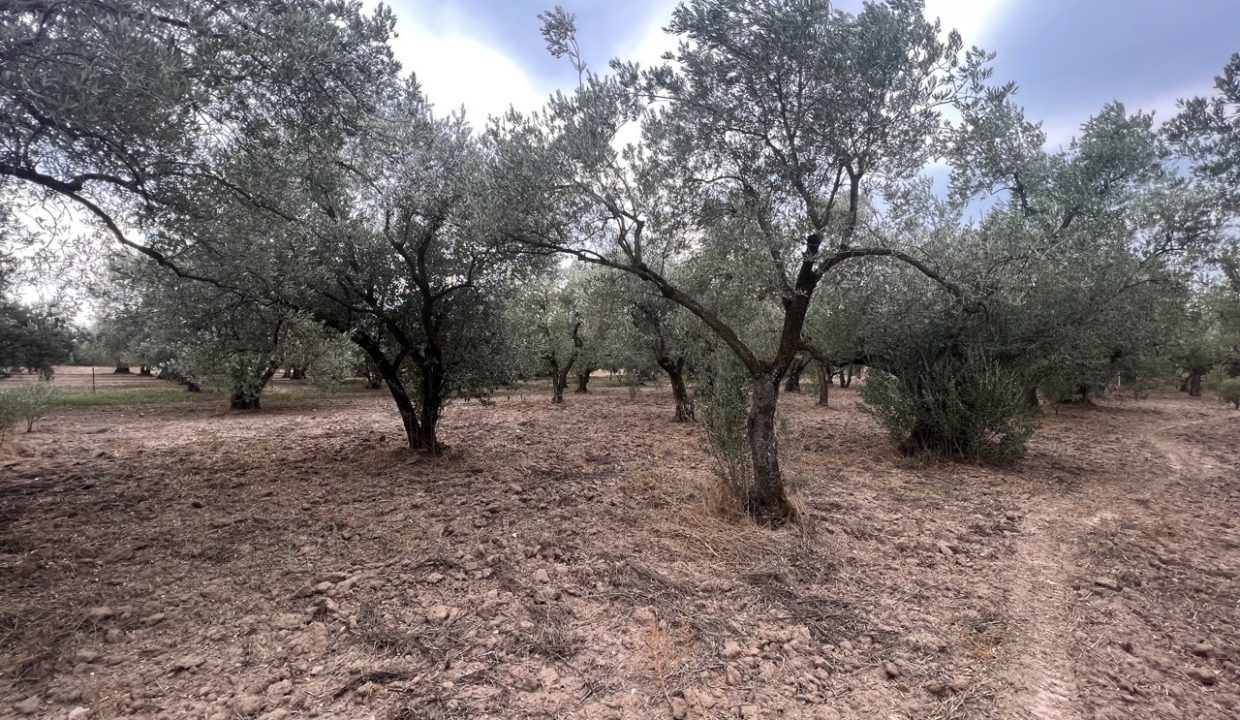 WhatsApp Görsel 2025-11-12 saat 18.35.04_5eb1317e