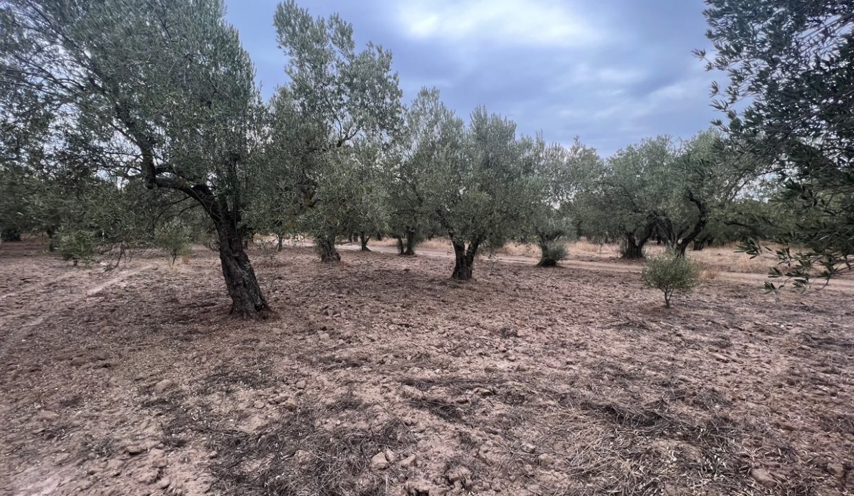 WhatsApp Görsel 2025-11-12 saat 18.35.04_a1b4ca7e