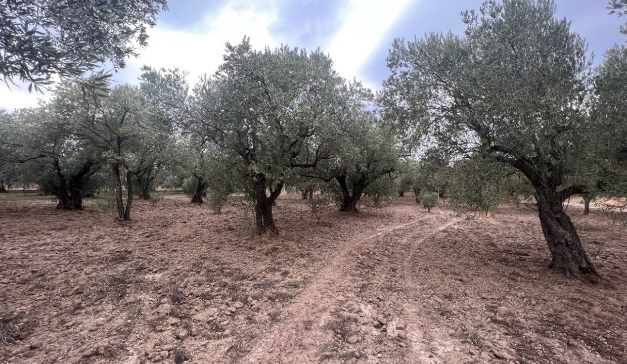 WhatsApp Görsel 2025-11-12 saat 18.35.04_d09844bb