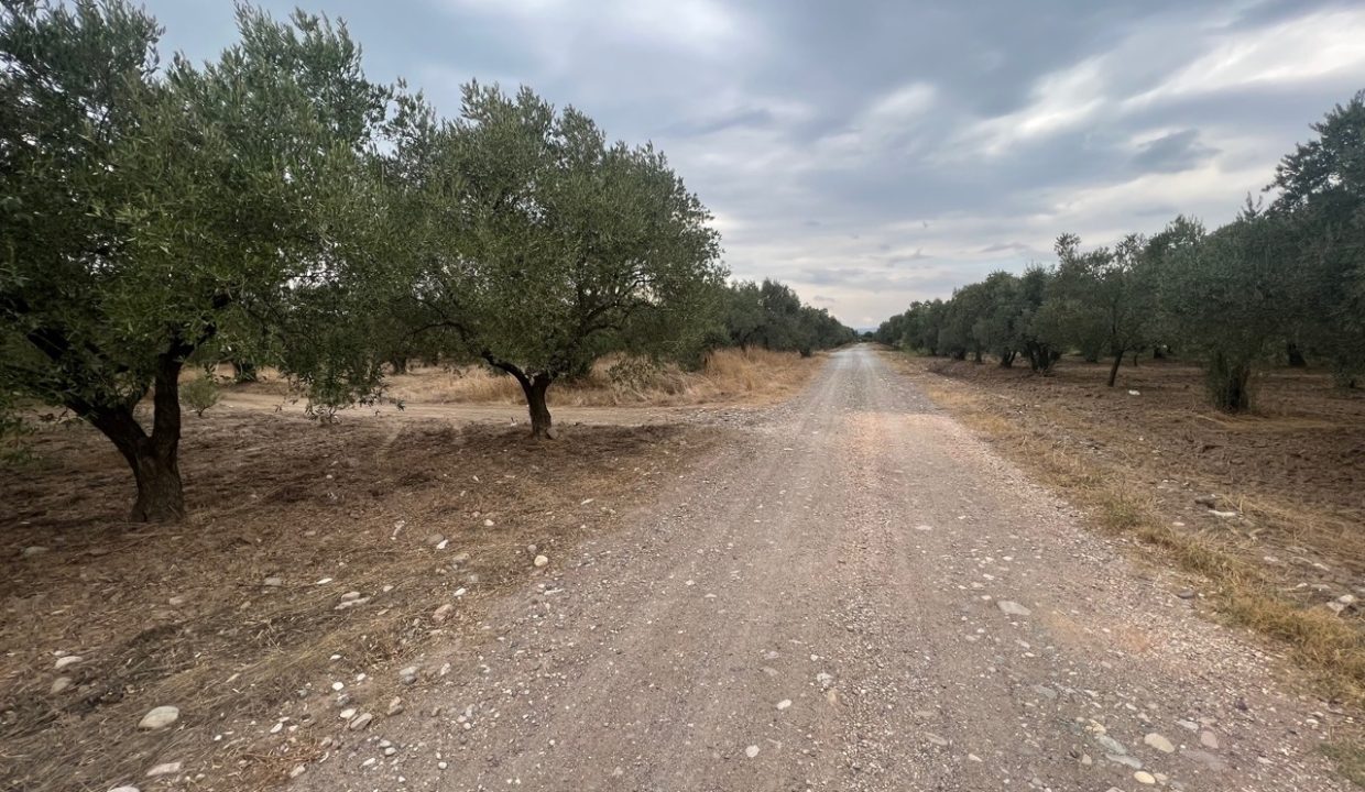 WhatsApp Görsel 2025-11-12 saat 18.35.05_50488e7c