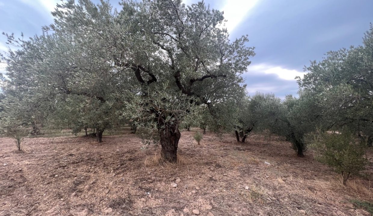 WhatsApp Görsel 2025-11-12 saat 18.35.05_95b31839