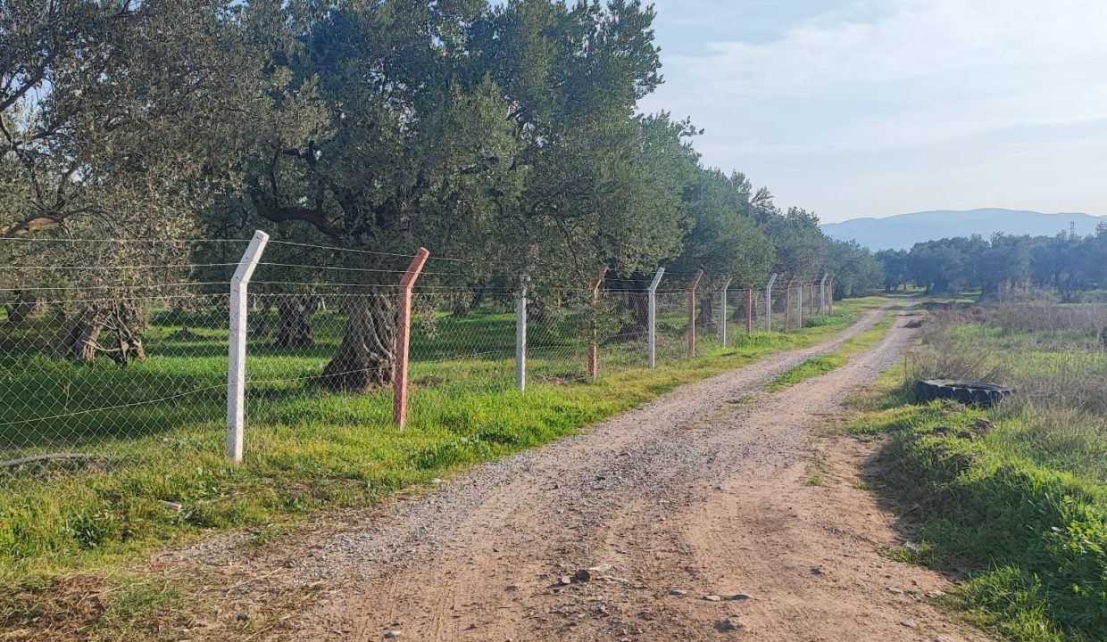 WhatsApp Görsel 2025-11-22 saat 11.46.26_3c2d48e9