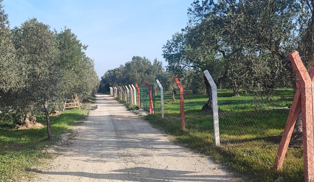 WhatsApp Görsel 2025-11-22 saat 11.46.26_d6e05fcb