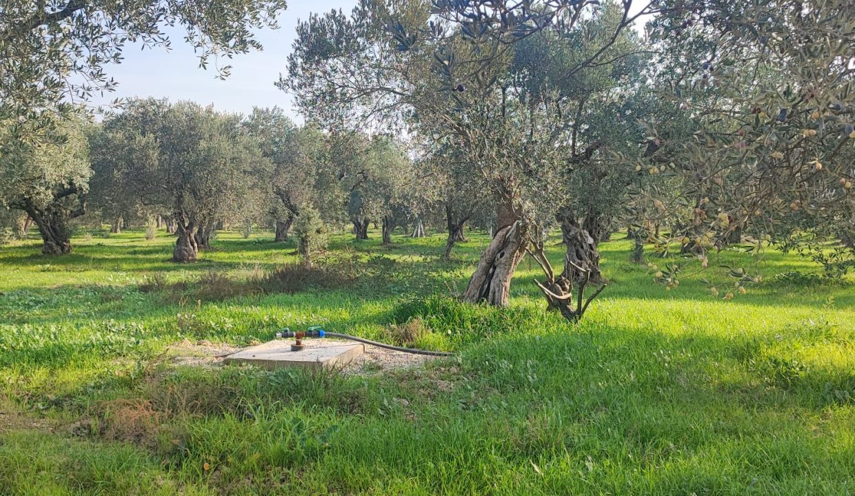 WhatsApp Görsel 2025-11-22 saat 11.46.27_4b058838