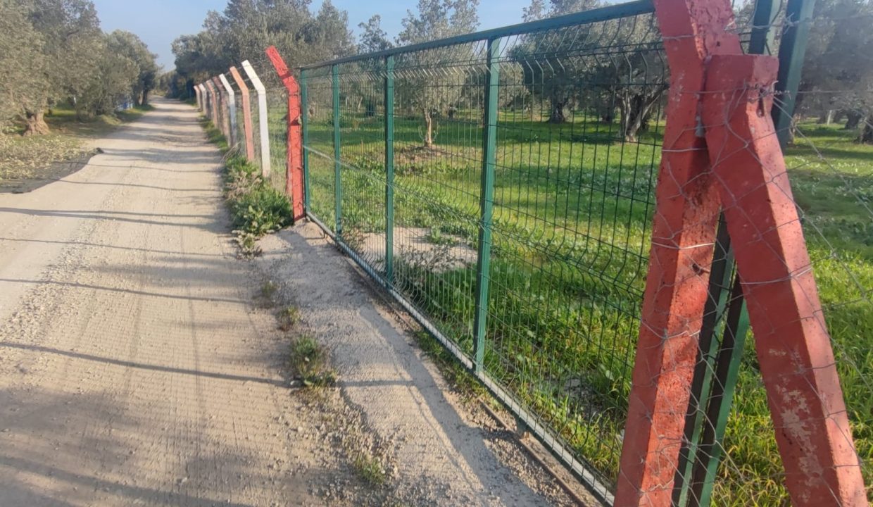 WhatsApp Görsel 2025-11-22 saat 11.46.28_03a821ae