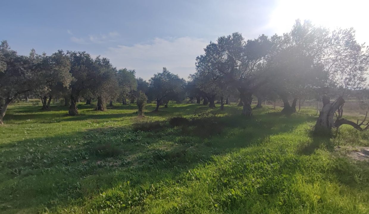 WhatsApp Görsel 2025-11-22 saat 11.46.28_4ddfa430