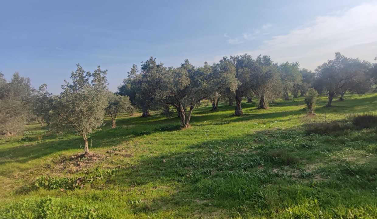 WhatsApp Görsel 2025-11-22 saat 11.46.28_5c2ce1f4