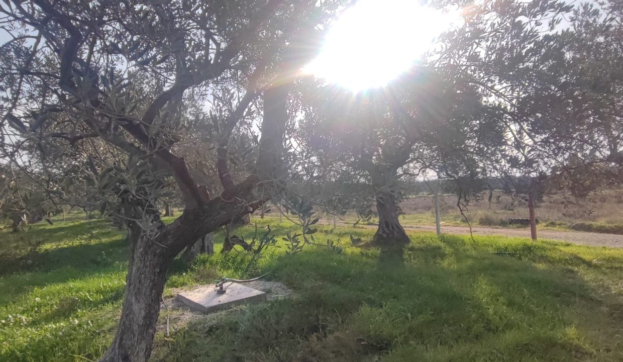 WhatsApp Görsel 2025-11-22 saat 11.46.28_a6d07a46