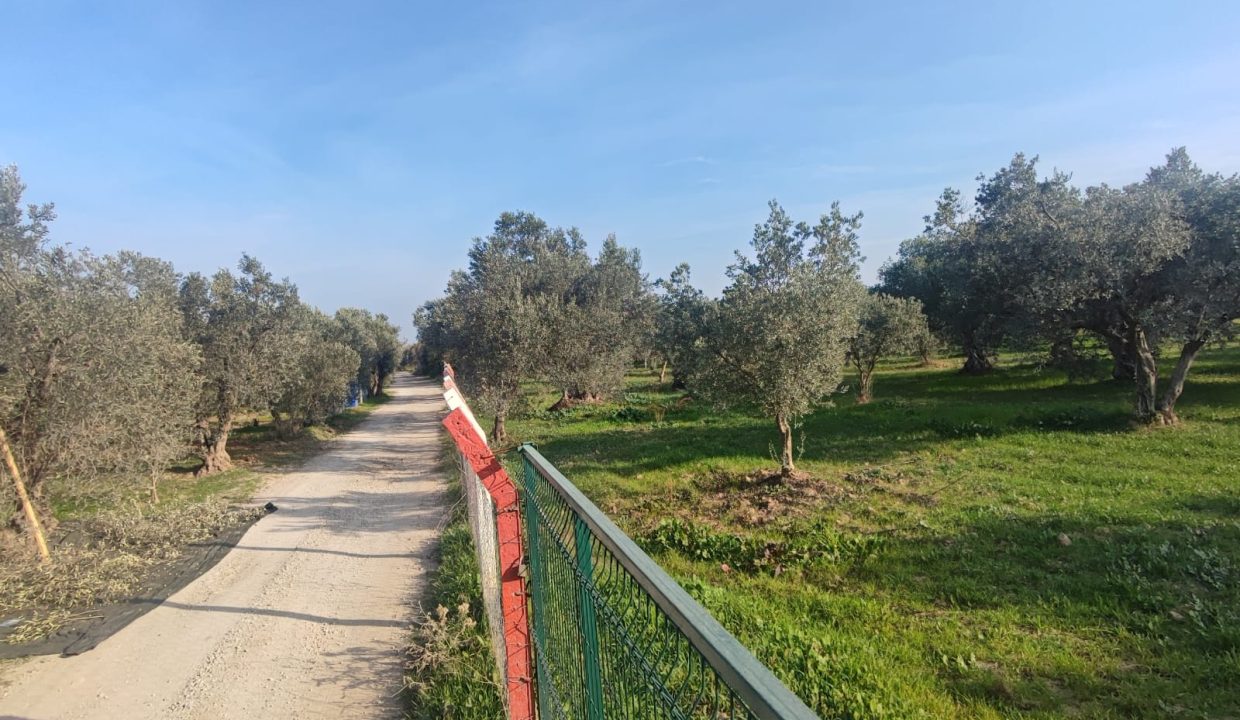 WhatsApp Görsel 2025-11-22 saat 11.46.28_dacbbcdb